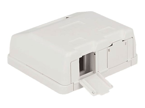 Keystone-pinta-asennusrasia 2 portilla pölysuojalla